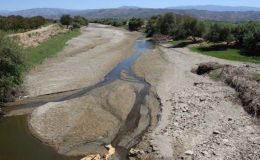 Büyük Menderes Nehri’nin kirliliği Meclis gündeminde