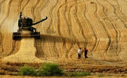 Tarım alanları 30 yılda yüzde 13 azaldı
