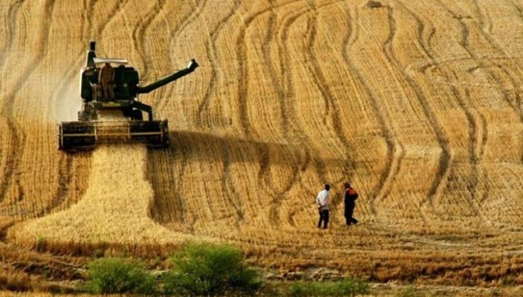 Tarım alanları 30 yılda yüzde 13 azaldı