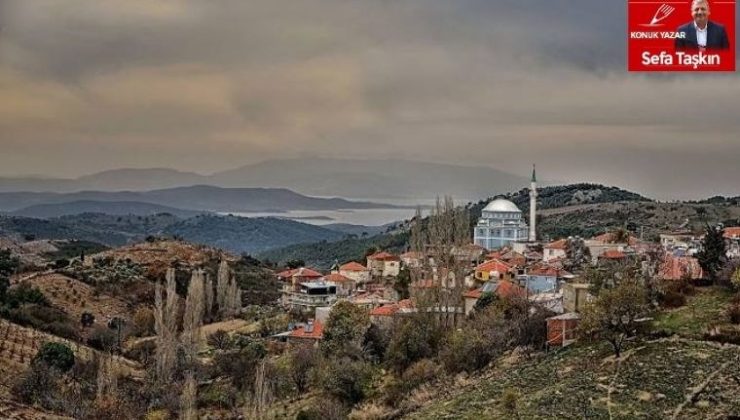 “İzmir’in Damında” zehirler gezer: Efemçukuru!