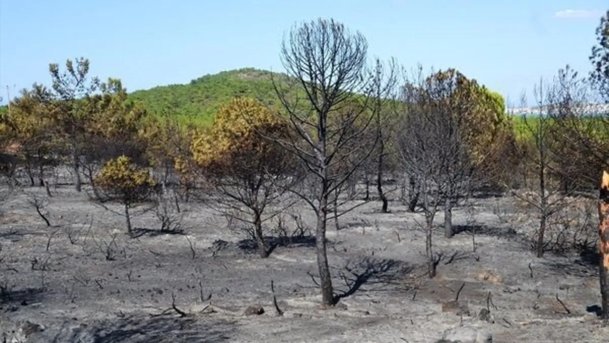 Orman yangını çıkaran firari arazöz şoförü yakalandı